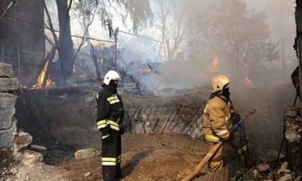 Пучков поручил подготовить проект по рекультивации зоны крупного пожара в Ростове