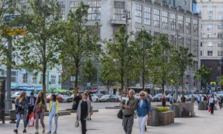 Партнер «Стрелки» объяснила стоимость деревьев в центре Москвы