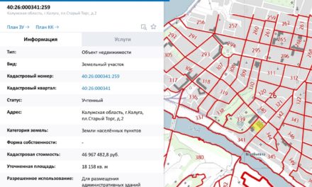 Публичная кадастровая карта: описание и функции