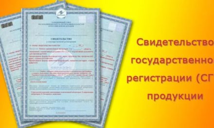 Свидетельство о государственной регистрации СГР: ваш путь к легальному бизнесу