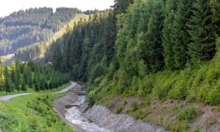Почему нельзя смывать в унитаз вещи и отходы