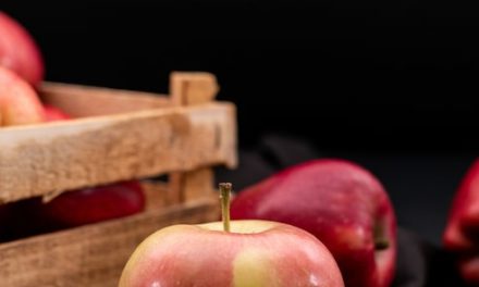 Apple согласилась предустанавливать российские приложения